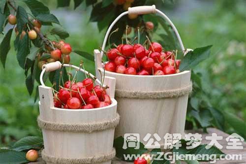 梦见樱桃