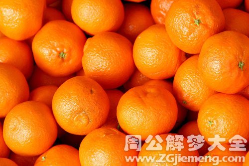 梦见桔子、橘子