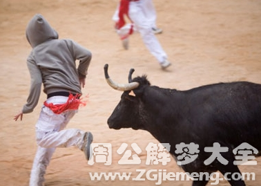 梦见牛追人.png