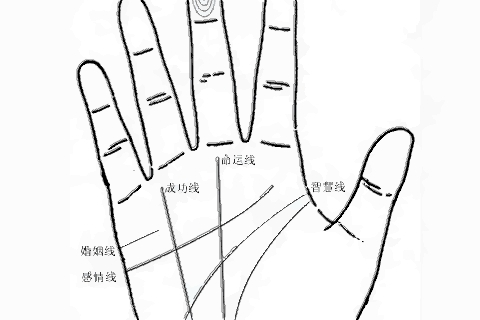 这六种嫁得好的手相 女人这种手相不用愁