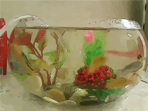 旺财风水：在家中养风水鱼最好是养几尾