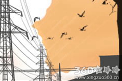 冲太岁