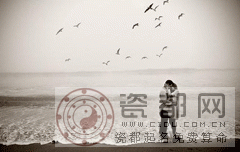 巧克力测你爱情的真面目