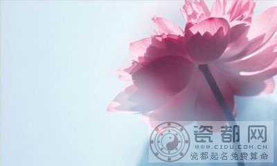 你是如何看待权利呢
