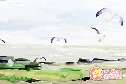 十二星座