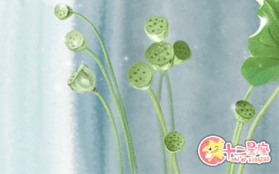 十二星座